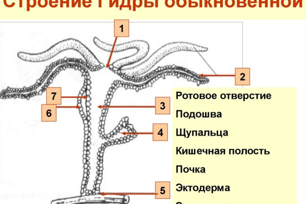 Гидра официальная ссылка