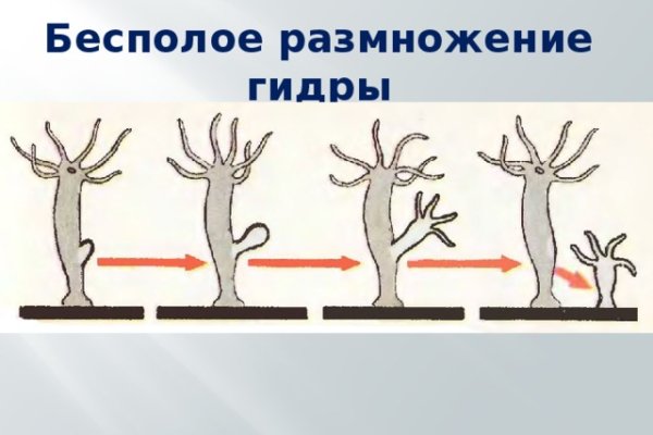 Кракен телеграмм канал