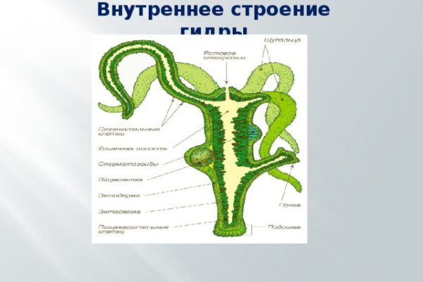 Актуальная ссылка на кракен в тор 2krnmarket